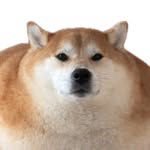 bread_star