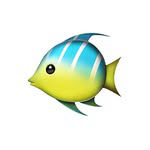 freshfresh____