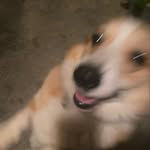 myeji.k