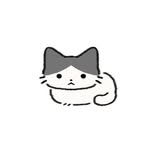 slkkanghee_slm