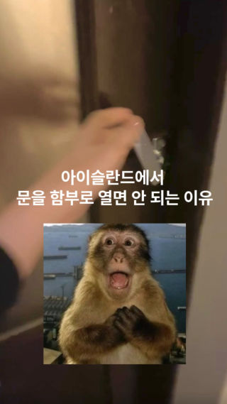 원숭이 두마리
 .
 .
 .
 #아이슬란드 #아이슬란드여행 #레이캬비크 #오로라 #교환학생