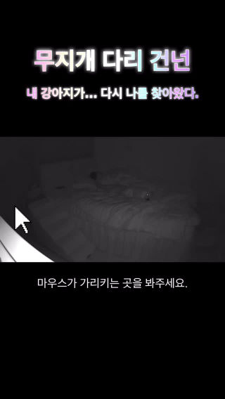 🌈하늘나라로 간 우리 다몬이가 찾아온 것 같다.🐾
 
 01월 14일 다몬이 떠나보내고
 아무 일 없는 듯 생활하다
 집에 와서 다몬이가 그리워 울던 날들이 이어졌다.
 
 다몬이 무지개다리건너고 5일째 되던 밤(01월 19일)..
 다몬이 생일인 03월 27일과 같은 시간에 
 홈씨씨티비가 무언가 찍혔다.
 
 반짝거릴게 없는 곳에서 반짝거리니 
 희한하고 신기해서 캡쳐해서 확대해봤는데 
 마치 우리 다몬이같다……
 
 아닐 수 도 있겠지만… 
 보고싶은 맘에 내가 그렇게 보는 걸 수 있겠지만ㅠㅠ
 우리 다몬이가 나를 찾아온 것 같았다.. ㅠ 
 
 쿤이는 뭔가 다몬이를 보는 거 같다ㅜ(새벽에 혼자 웃을 일이 없는데…)
 
 이때가 1월 19일 월요일 밤인데 
 이때까지도 꿈에 한번 다몬이를 못봐 무지 속상했었다ㅠㅠ 
 
 꿈에서 만나면 다몬이 빤짝거리는 눈보면서 고맙다고, 사랑한다고 말해주고 
 미친둣이 뽀뽀하고 꽉안아주고 놀아주고싶었는데……
 
 근데 이때 나타나고서 몇일 있다 1월 23일쯤 첫번째 다몬이 꿈을 꿨다.
 정말 일상적인 우리였다... 
 나는 먼가 분주했고 다몬이는 내발에 꼭붙어 쫒아다녔다ㅎㅎ
 나는 꿈에서 다몬이가 떠난 걸 잊었는지 너무 평범한 일상을 보냈다 
 꿈에서 깨고는 ‘이 바보 다몬이 안아주지‘하면서 살짝 후회했다
 
 그런데 꿈을 꾸고나서는
 너무 일상적인 하루 꿈을 꿔서 인지 왠지 덜 슬퍼졌다 .. 
 
 그리고 1월 30일 밤, 두번째 꿈도 꿨는데 
 다몬이랑 따뜻한 물에 목욕을 했다… 
 꼭 안고 욕실 들어가서 샤워기 물맞으면서 다몬이 등 어루만졌다
 또 역시나 평범한 일상 중 하루느낌이였다.
 
 깨어나서 기분이 좋았다
 그리곤 일어나서 집청소하면서 다몬이 옷,용품들을 정리했다..
 하나도 못버리겠어서 한곳에 모아 보관했다.
 
 우리 착한 다몬이…..
 떠나고도 엄마 걱정되서 찾아오는 거 같애ㅠ 
 
 이제 덜 슬퍼하고 다몬이와 행복했던 날들 추억하면서 웃을게.
 걱정하지마, 다몬.
 
 엄마한테 와줘서 고마워. 
 사랑한다.
 
 ❤️