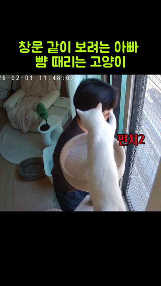 버릇 없는 김솜 .. 💢