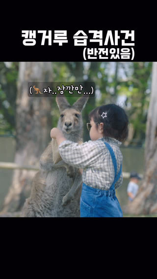 호주 캥거루 차원이 달라🦘🇦🇺