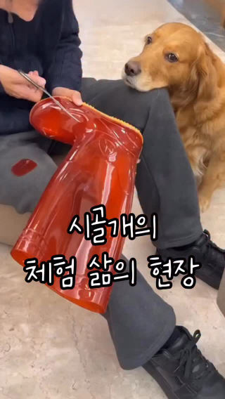 8000원으로 자동급식기 만들기
 아빠는 뭐든 할 수 있다. 
 
 → 팔로우 되어있어야 메세지 확인가능합니다!
 → 프로필 바로가기 👉 @onlyme.tem
 
 ──────────────
 
 ✔ 튼튼한 프리미엄 고무장화
 ✔ 방수·야외활동
 ✔ 농사·캠핑·작업
 
 ──────────────
 
 근데 이걸 진짜로 하는 사람은 없겠죠?
 
 💌 프로필 링크 👉 143 검색
 💌 바로가기 👉 @onlyme.tem