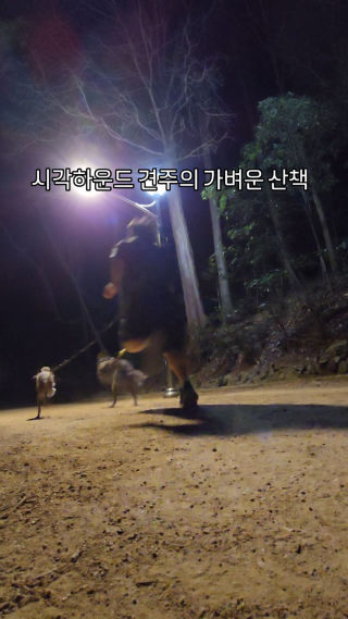 자기 전에 산책