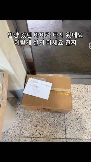 입양은 선택이 아니라 책임입니다.
 이 아이는 다시 돌아왔습니다.
 이번엔 끝까지 지켜줄 가족을 기다립니다.
 
 #유기묘
 #고양이입양
 #책임입양
 #강동구입양센터