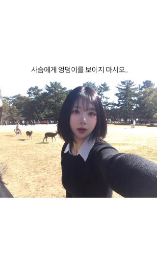 나라공원 치마 입고 가지마세요 🥹 
 사진 찍고 있는데 사슴이 엉덩이 뜯으러 옴 ㄹㅇ