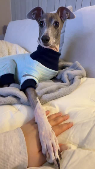 기싸움 (소리진찌 찰짐)