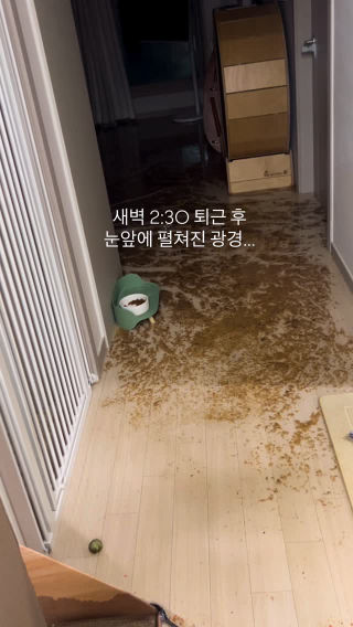 설 연휴 시작 전 벌어진 대참사
 #배관역류 #오물역류 #침수 #집침수😡 #현재진행형