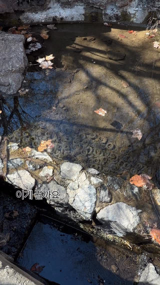 화담숲에서
 이날 처음 알았어요🤣