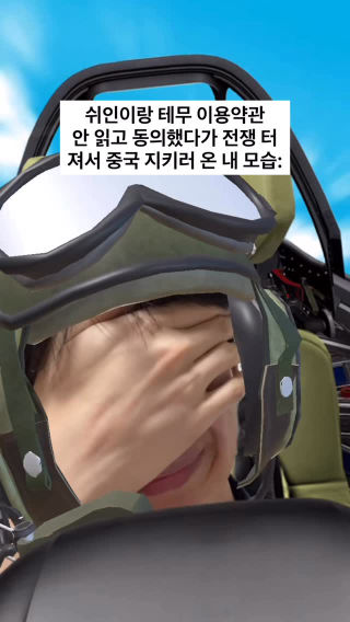 쉬인이랑 테무 이용약관 
 안 읽고 동의했다가 전쟁 터져서 중국 지키러 온 내 모습: