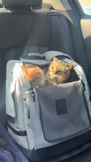 사진첩 정리하다 발견한 머리채 잡는 영상