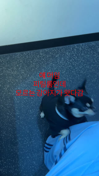 얘 머임