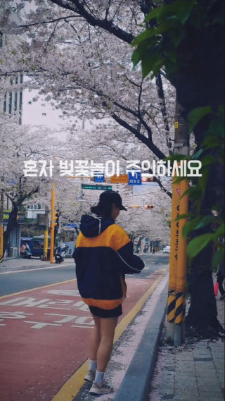 혼자 벚꽃놀이 주의하세요 🌸
 갑자기 낯선 아저씨가 나타나서...
 벚꽃 뿌리는 법 알려주심
 
 같이 봄맞이 너무행복하잖아
 
 카메라 안켜놨으면 어쩔뻔🥹
 항시 낭만 놓침 주의
