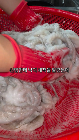 이렇게까지 깨끗하게🫢
 
 #낙지 #세척 #낙지요리 #낙지볶음 #신입생