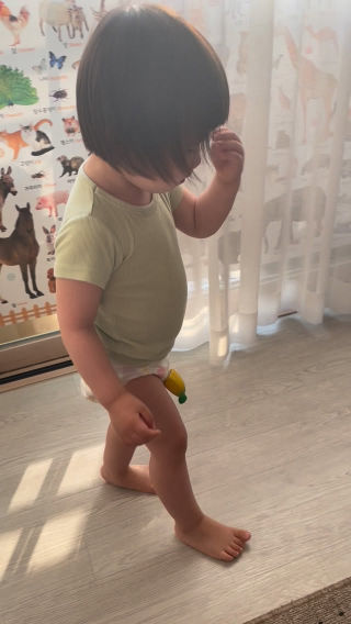 어라랏