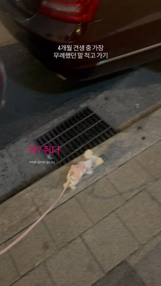 i_am__haon의 릴스