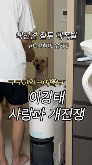 내연견 사랑과전쟁
 
#k #아빠 와 #강아지 
#래브라도리트리버 #retriever