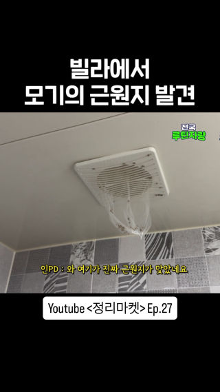 빌라에서 모기의 근원지 발견

#살림 #모기 #벌레 #청소