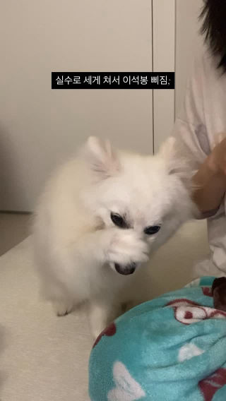 누나가 미안하다고 했잖아….