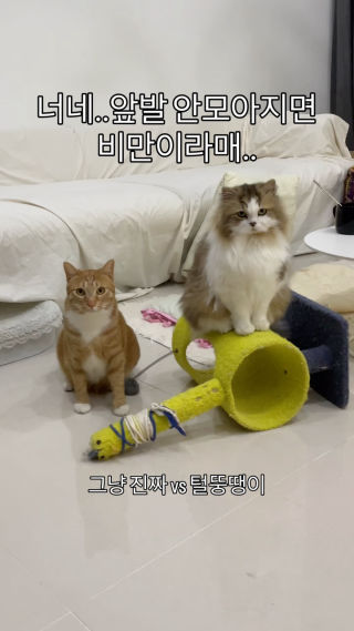 행여 밥 줄일까 애써 침착함을 유지하는 그냥 진짜.