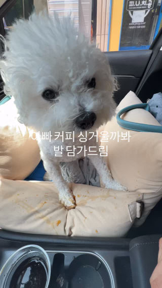 뚜껑을 안 닫은 내 잘못 같기도 하고 ㅜ