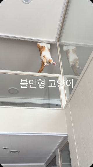 턱걸이중이십니다