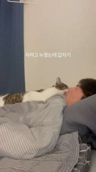 갤러리 정리하다가